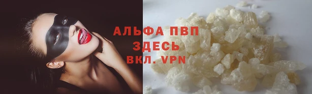 гашиш Богданович