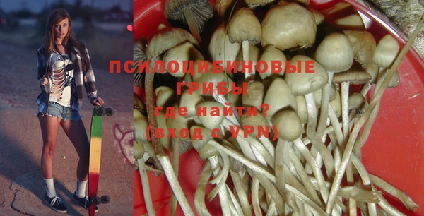 стаф Бронницы
