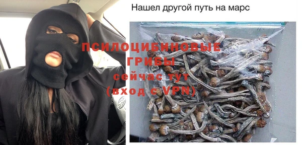 гашиш Богданович