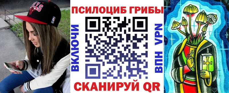 купить закладку Вилюйск Галлюциногенные грибы мухоморы