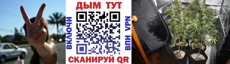 Бошки Шишки ГИДРОПОН  Вилюйск 